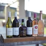 Wine samples